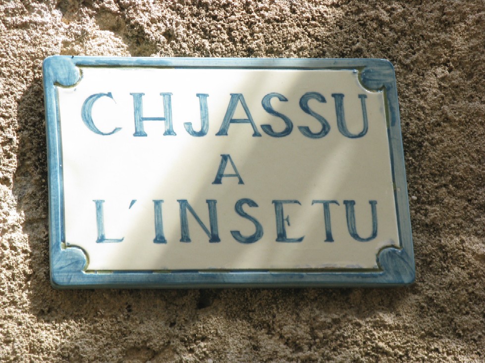 Coleotteri di Corsica